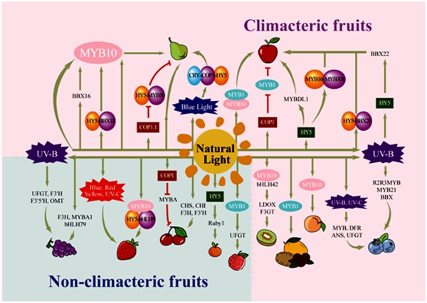 5fc2d69feae5454e8435da2f7d8c98a3.jpg 未命名_副本.jpg