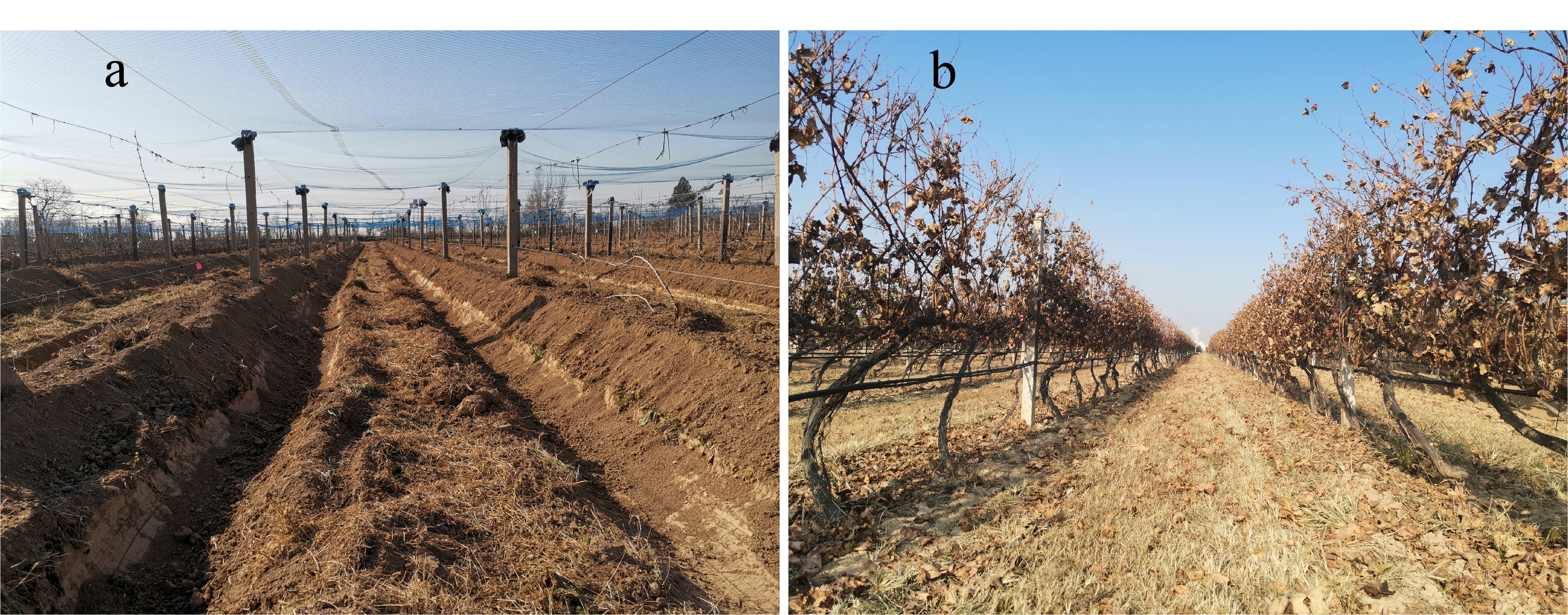 83cb292f0bd646d687574b6a6ddd5399.jpg 83cb292f0bd646d687574b6a6ddd5399.jpg