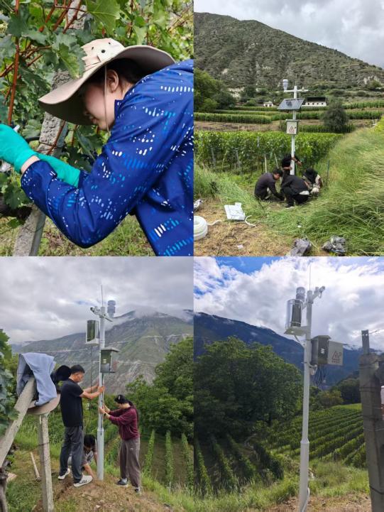 1e50738fdfc1726397ad9cd92feda9da