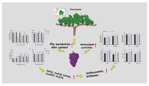 8d87de6de65f4b8eb356e9661b48eeb6.png 8d87de6de65f4b8eb356e9661b48eeb6.png