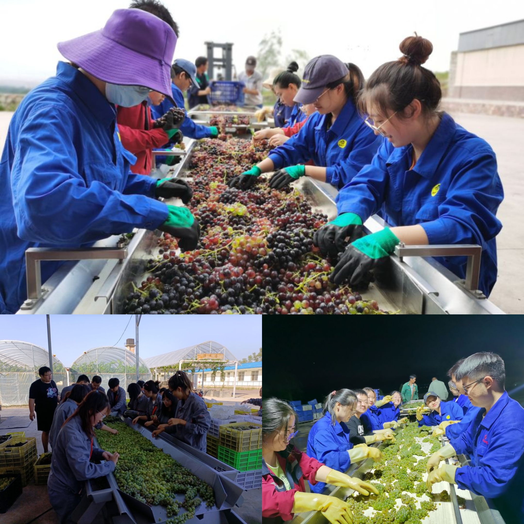 139ad3b443f949f0a218f4fbb20a34a7.jpg 139ad3b443f949f0a218f4fbb20a34a7.jpg