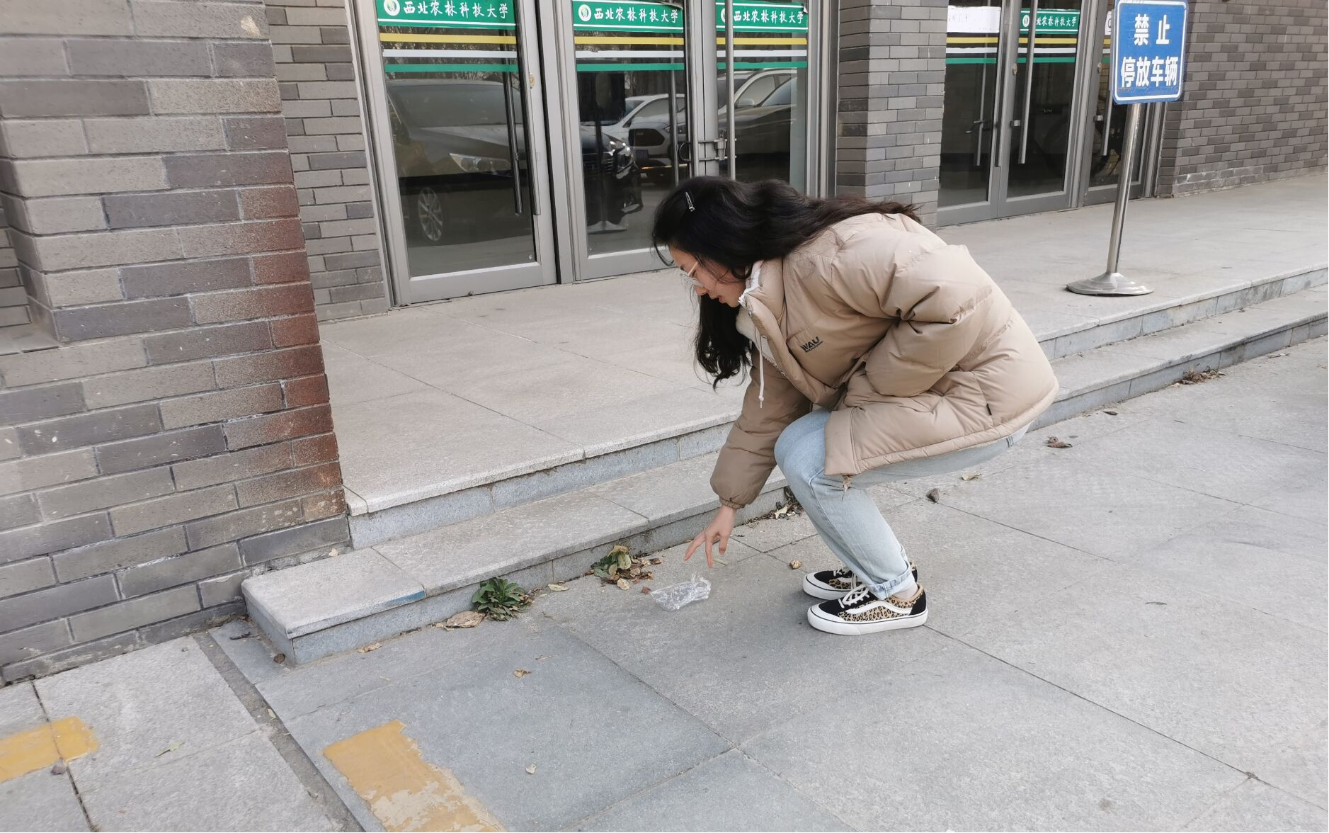 0daad058646b4520a06bd24760b44b76.png 0daad058646b4520a06bd24760b44b76.png