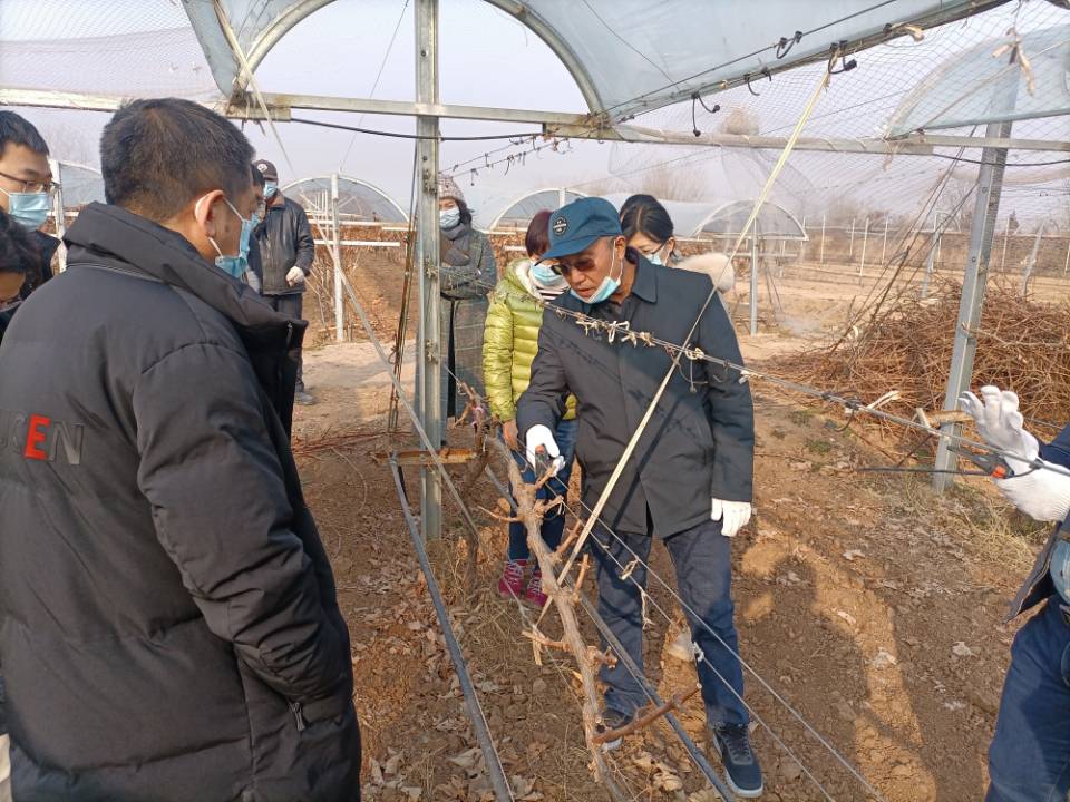 5ca197e9935a40849a345f031704c724.jpg 5ca197e9935a40849a345f031704c724.jpg