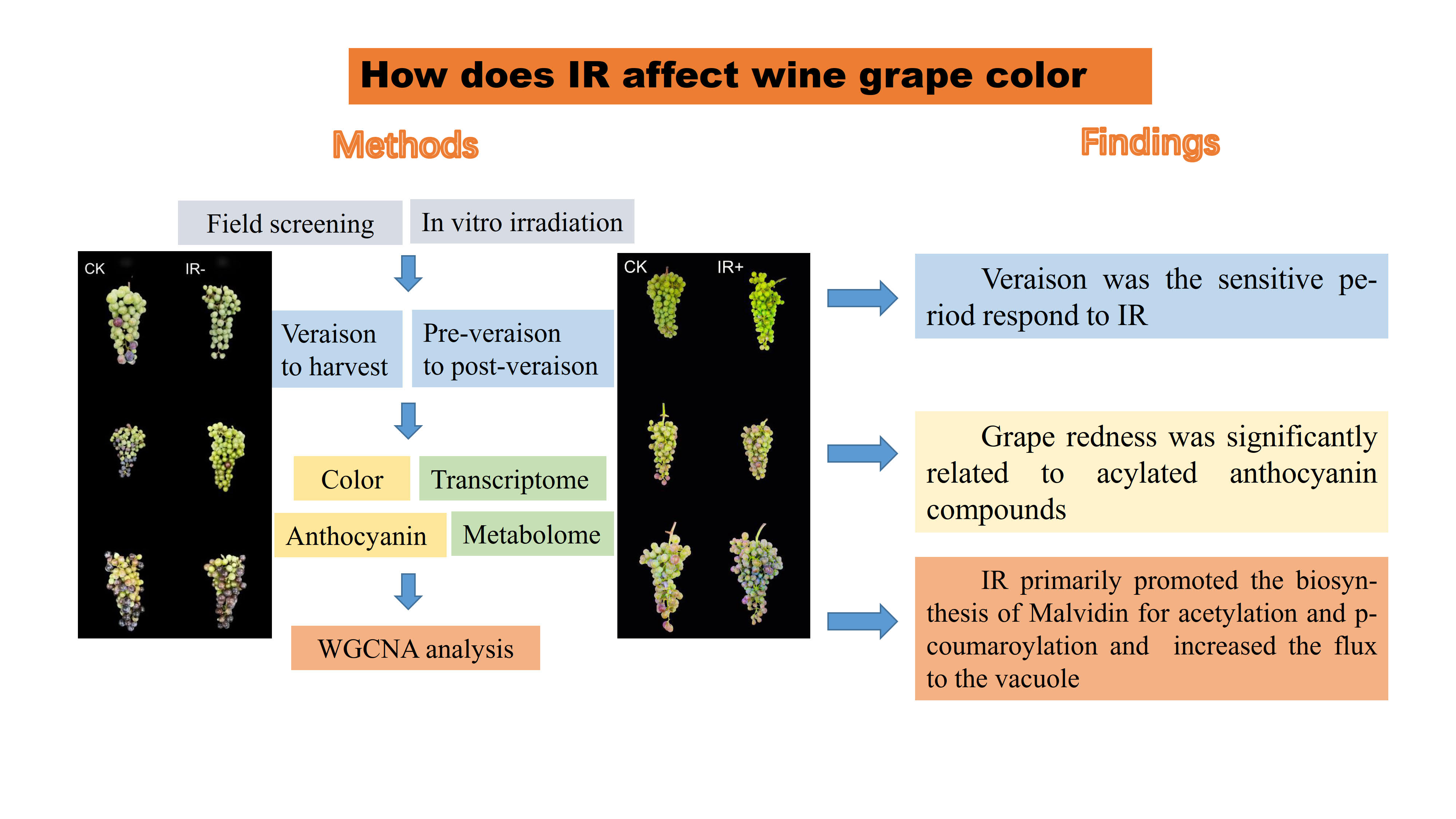 2392b353f72c45cc87f1b7730734b360.jpg 2392b353f72c45cc87f1b7730734b360.jpg