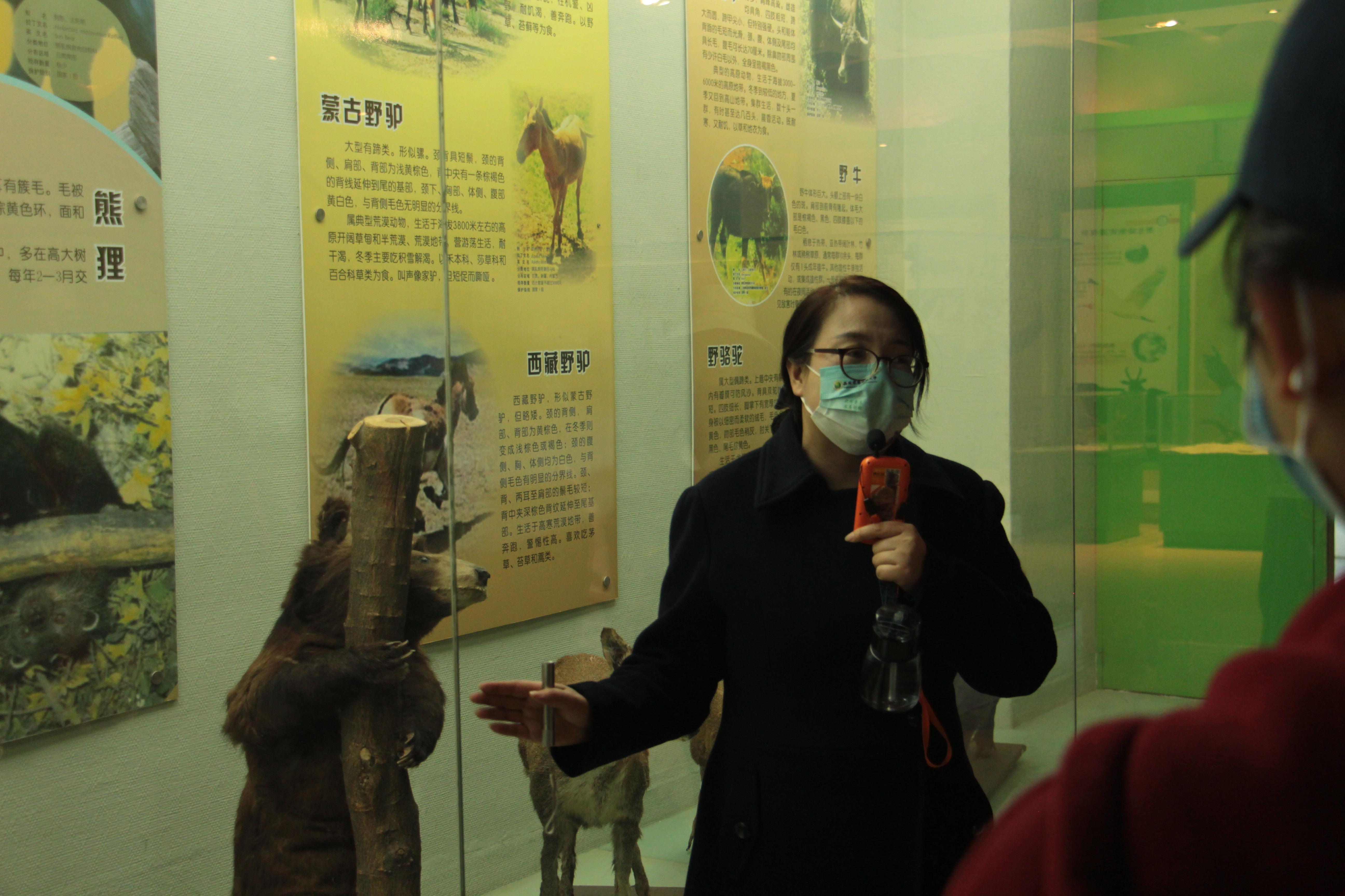 9572d52482e94b818b8897f7b98c24e7.jpg 9572d52482e94b818b8897f7b98c24e7.jpg